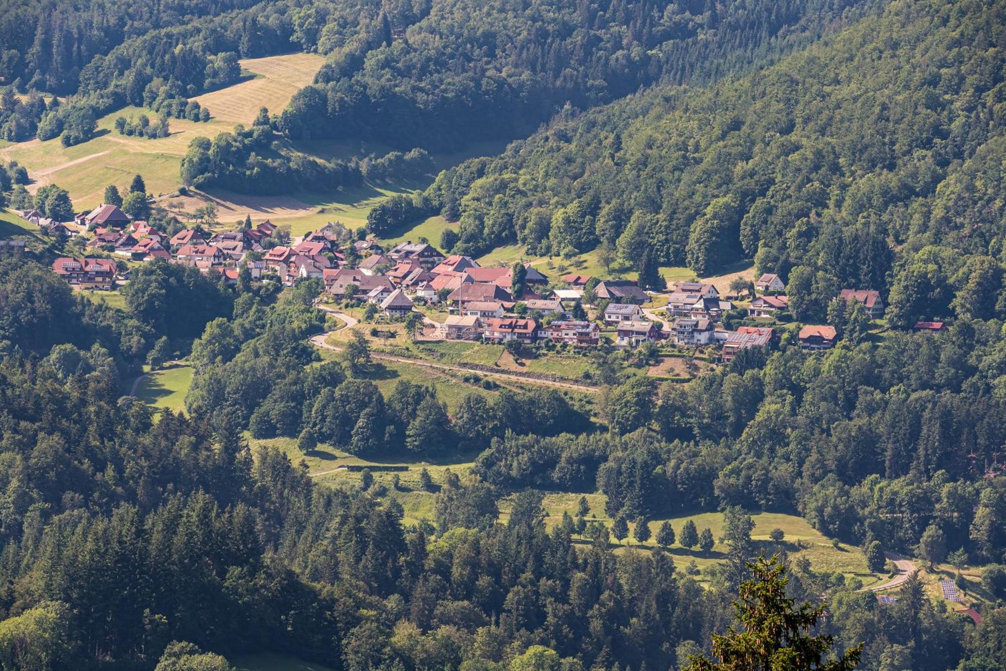 Ferienwohnung Belchenliebe Schonenberg Zewnętrze zdjęcie