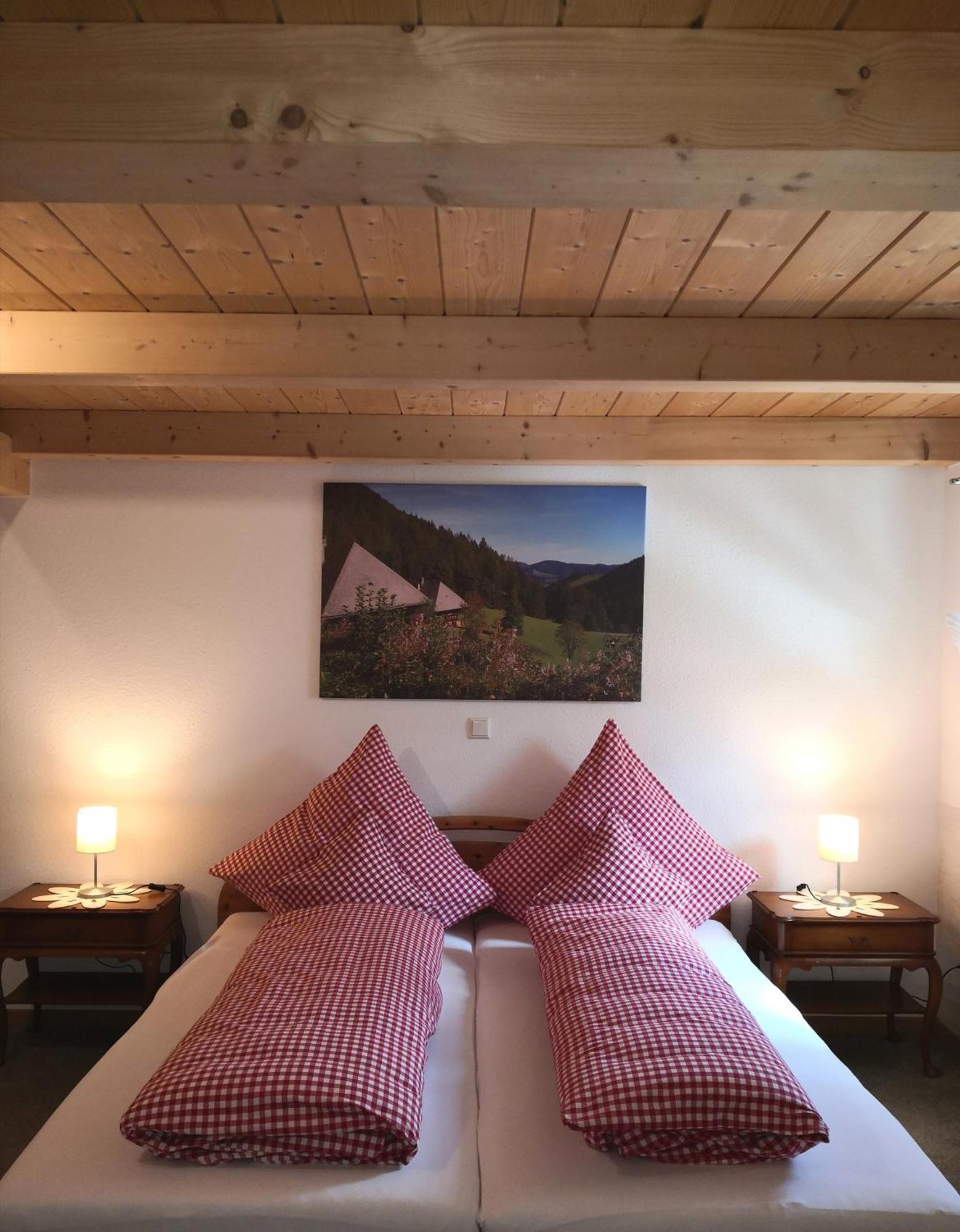 Ferienwohnung Belchenliebe Schonenberg Zewnętrze zdjęcie